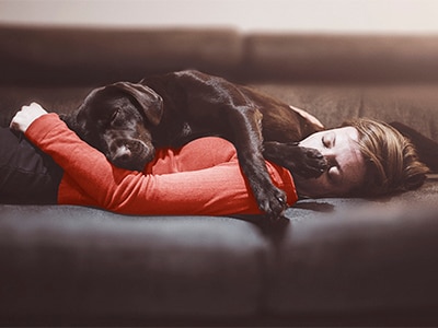 A SASE Solution That’s as Flexible as Your Hybrid Workforce