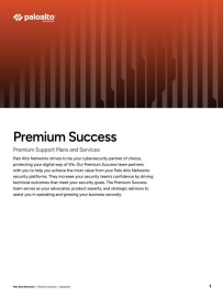 asset thumbnail