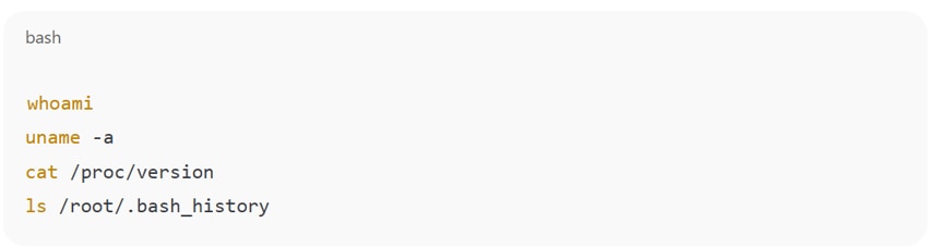 Example of command patterns that suggest sandbox testing or honeypot detection Example of command patterns that suggest sandbox testing or honeypot detection
