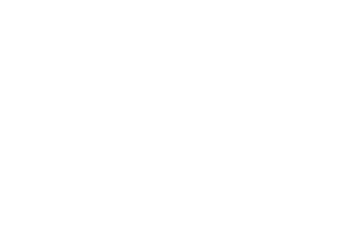 norlem logo